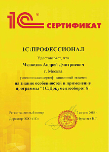 Медведев ПРОФ по Документообороту