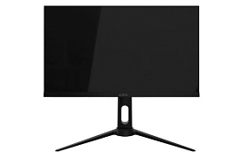 Delta Computers представила в MIDICT GROUP свои новые мониторы «Сова»